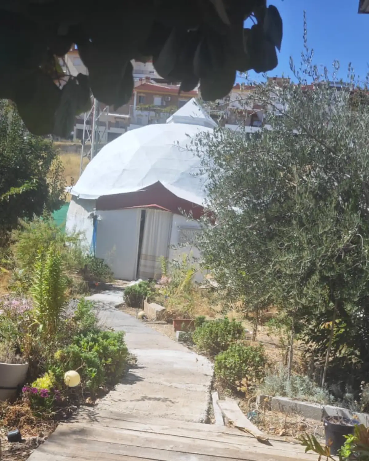 Domo Granada y camino de acceso entre la vegetación